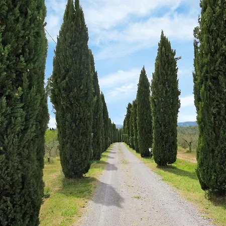 Le Palaie - 'oliveto' By Interhome Apartment Molino Mazzetti